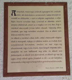 Assisi Szent Ferenc kápolna