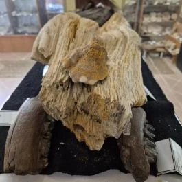 Ásványmúzeum, Vasszécseny - Belső