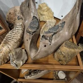 Ásványmúzeum, Vasszécseny - Belső