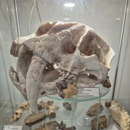 Ásványmúzeum, Vasszécseny - Belső