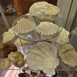 Ásványmúzeum, Vasszécseny - Belső