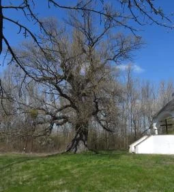 Ásványrárói kálvária