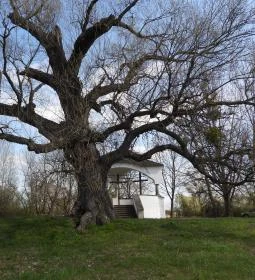 Ásványrárói kálvária