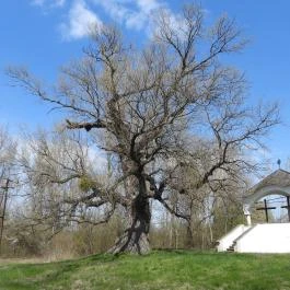 Ásványrárói kálvária Ásványráró - Külső kép