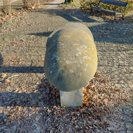 Átkelő Szob - Egyéb