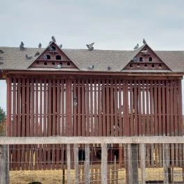 Attila Domb, Tápiószentmárton - Külső kép