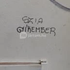 Auróra Budapest - Egyéb