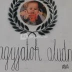 Auróra Budapest - Egyéb