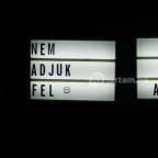 Auróra Budapest - Egyéb