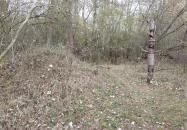 Avar fejedelmi emlékoszlop Kunszentmiklós