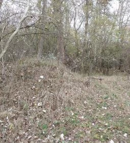 Avar fejedelmi emlékoszlop