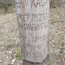 Avar fejedelmi emlékoszlop Kunszentmiklós - Egyéb