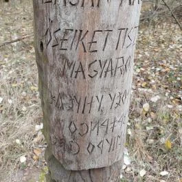 Avar fejedelmi emlékoszlop Kunszentmiklós - Egyéb