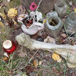 Avar fejedelmi emlékoszlop Kunszentmiklós - Egyéb