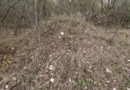 Avar fejedelmi emlékoszlop Kunszentmiklós