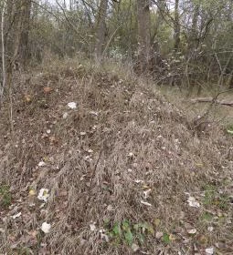 Avar fejedelmi emlékoszlop