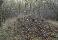 Avar fejedelmi emlékoszlop Kunszentmiklós