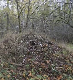 Avar fejedelmi emlékoszlop