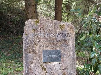 Azáleás-völgy Zalaegerszeg