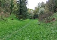 Azáleás-völgy Zalaegerszeg