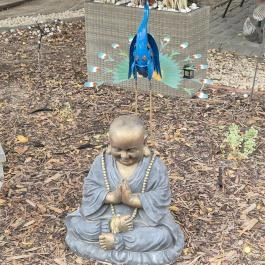 AzziPizza, Délegyháza - Egyéb