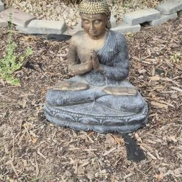 AzziPizza, Délegyháza - Egyéb