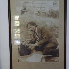 Babits Mihály Emlékház, Szekszárd - Egyéb