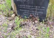 Babits Mihály szobra Esztergom