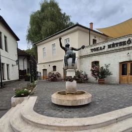 Bacchus-kút, Tokaj - Külső kép