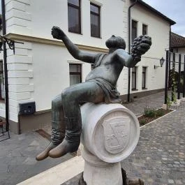 Bacchus-kút, Tokaj - Külső kép