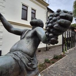 Bacchus-kút, Tokaj - Külső kép
