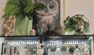 Bagoly Cafe, Budapest
