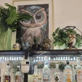 Bagoly Cafe, Budapest - Belső