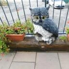 Bagoly Csárda Mecseknádasd - Egyéb