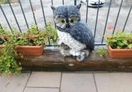 Bagoly Csárda Mecseknádasd