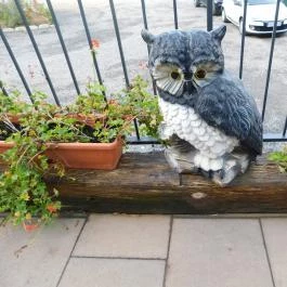 Bagoly Csárda Mecseknádasd - Egyéb