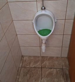 Bajcsi Halásztanya Étterem