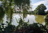 Bajcsi Halásztanya Étterem Nagybajcs