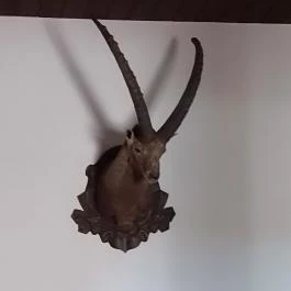 BAK Vendéglő Gyulakeszi - Belső