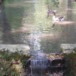 BAK Vendéglő Gyulakeszi - Egyéb