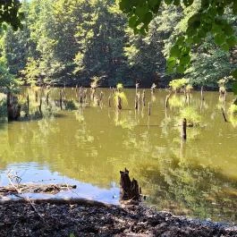Bakonyi Gyilkos-tó Ugod - Külső kép
