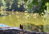 Bakonyi Gyilkos-tó Ugod