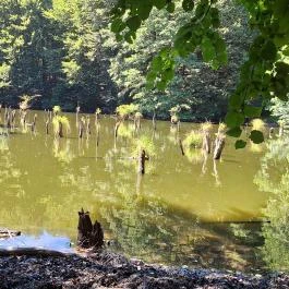 Bakonyi Gyilkos-tó Ugod - Külső kép