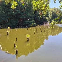 Bakonyi Gyilkos-tó Ugod - Külső kép
