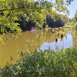Bakonyi Gyilkos-tó Ugod - Külső kép