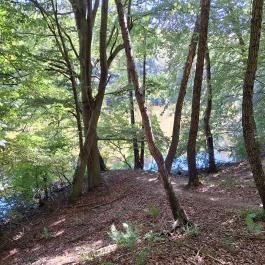 Bakonyi Gyilkos-tó Ugod - Külső kép