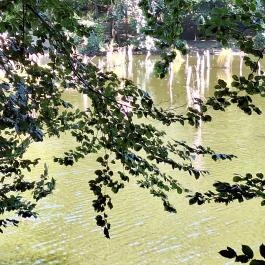 Bakonyi Gyilkos-tó Ugod - Külső kép