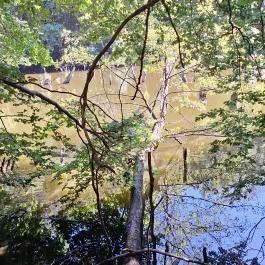 Bakonyi Gyilkos-tó Ugod - Külső kép