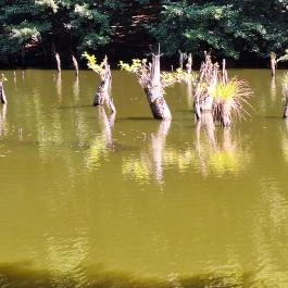 Bakonyi Gyilkos-tó Ugod - Külső kép