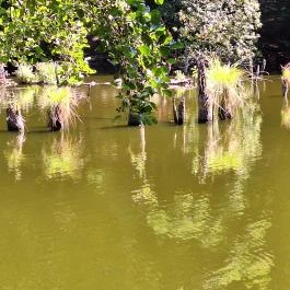 Bakonyi Gyilkos-tó Ugod - Külső kép